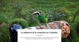 La industria de la cosmética en Colombia