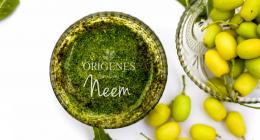 hojas de neem