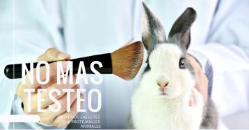 Conejo siendo usada para pruebas cosméticas